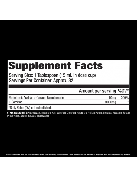 L Carnitina 3000mg
