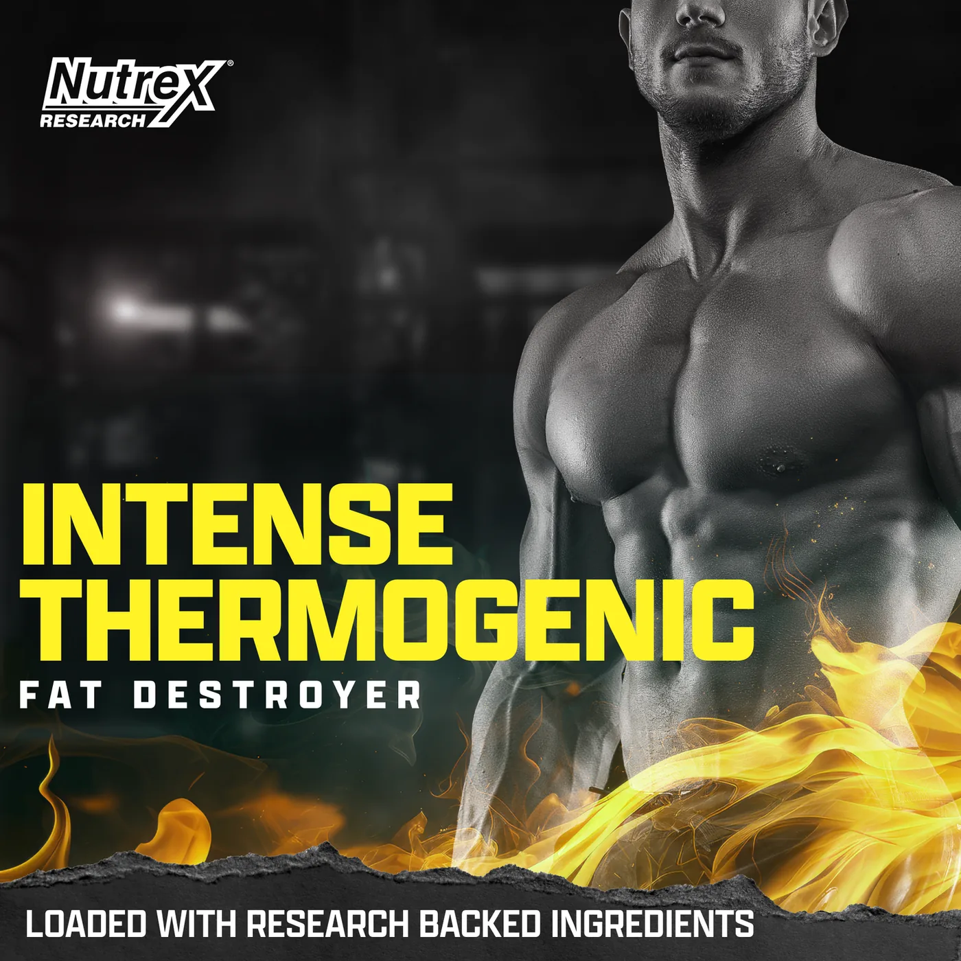 Lipo 6 Black Intense UC 60 Cápsulas — imagen oficial de la marca